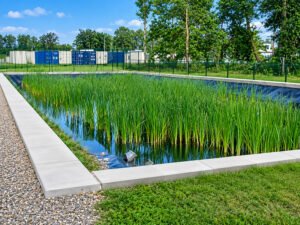 REED-Bed
